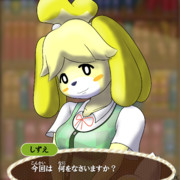 シーズーの化身