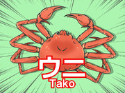 ウニ（Tako）