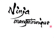 Ninja mangatronique2