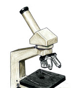 顕微鏡を模写してみた。