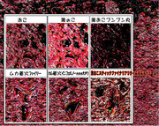 何かに怒り放出した日