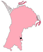 茨木（県）華扇