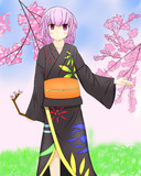 着物の女の子　in桜