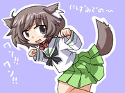 秋山殿わんわんお