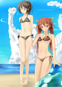 どっちが良い？