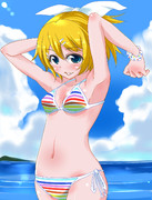 そろそろ暑くなってきたので