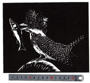 [切り絵]　ヤマセミ