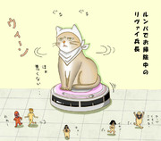 進撃のにゃんこ　その⑨