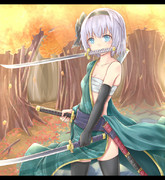 剣客 ニコニコ静画 イラスト