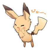 15分ピカチュウ