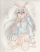 因幡の日ですね！