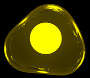 光る卵