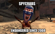 Spycrabs