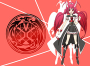 プリキュアライダー14