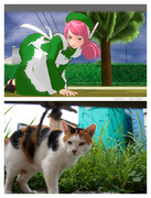 モモ×ニャンコ