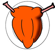 みすちー？ええ、みすちーです。