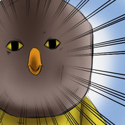 いわとびちゃん ニコニコ静画 イラスト
