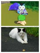 ロウ×ニャンコ