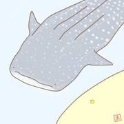 じんべえざめ ニコニコ静画 イラスト