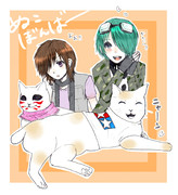 ぬこぼんばー！！