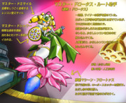 マスター・ドロータス・ルート助手