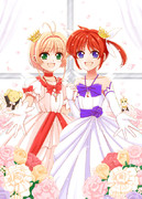 プリンシア表紙（なのは×さくら本）