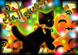 かぼちゃとちび黒猫