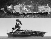 龍驤たん、上から・・