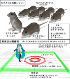 【MMD】モブネズミお試しセット【モデル配布】