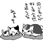 にゃんこ先生とちょび