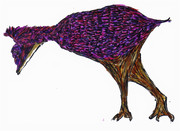 レインボーバード