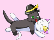 こめいじキャットファイト