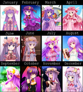 ２０１３年のパチュリー