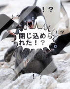 ペンギンコラ ニコニコ静画 イラスト