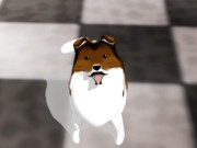 より目上目遣い選手権