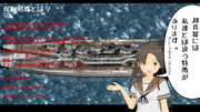 双胴戦艦について