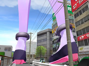 紫色の空：足元