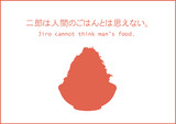 二郎は人間のごはんとは思えない。