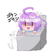 ゴーヤちゃんin洗濯機