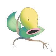 069　マダツボミ