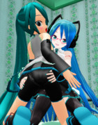 にゃんにゃんの日（もっと下から）