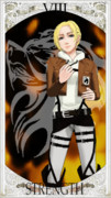 【Strength】アニ