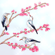 桃の枝花とギンムクドリ