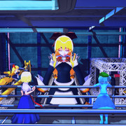 教訓…河童に任せるとこうなる