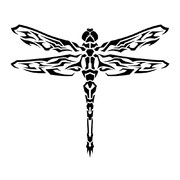 蜻蛉 ニコニコ静画 イラスト