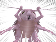 「あなたの魚肉、私が食べましたァ」