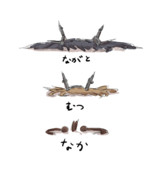 長門さんと陸奥さんとアイドル。