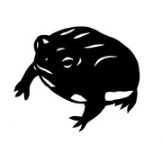 フクラガエルさん 切り絵