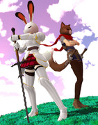 ウサギの騎士とドロボー猫