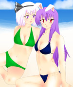 海辺の妖夢と鈴仙